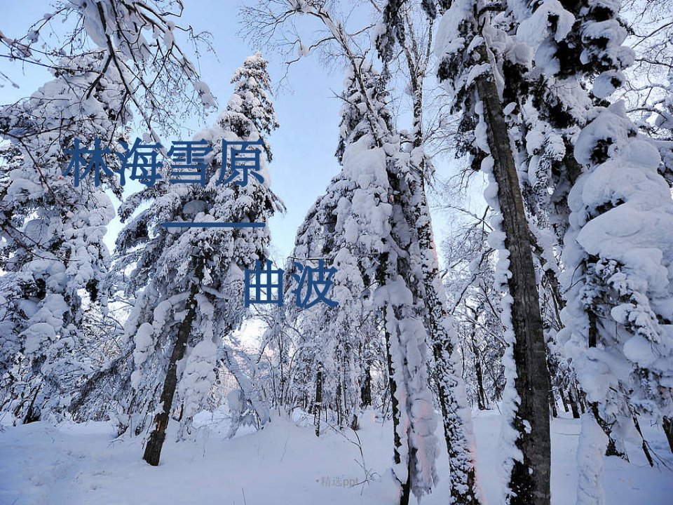 林海雪原ppt课件