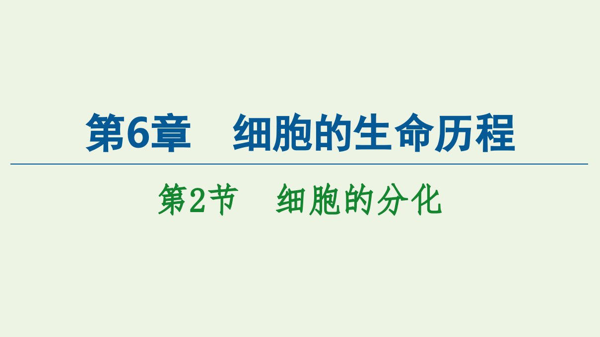 新教材高中生物第6章细胞的生命历程第2节细胞的分化课件新人教版必修1