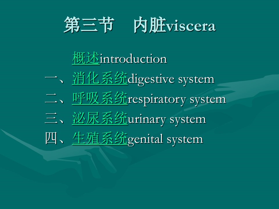 系统解剖学内脏系统