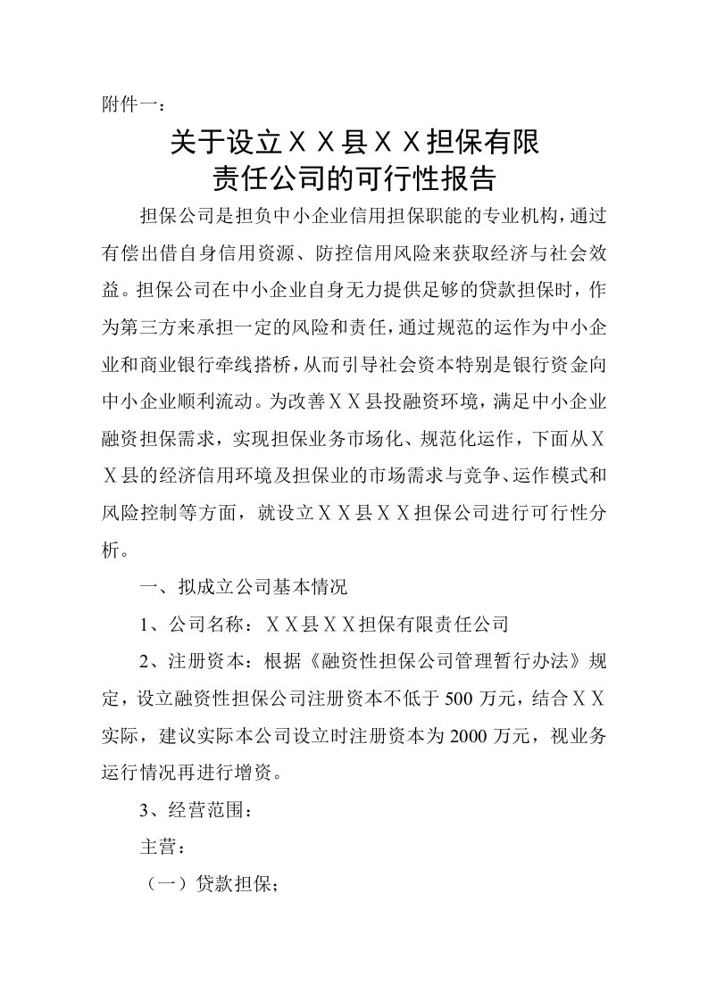 县级担保有限责任公司的可行性报告