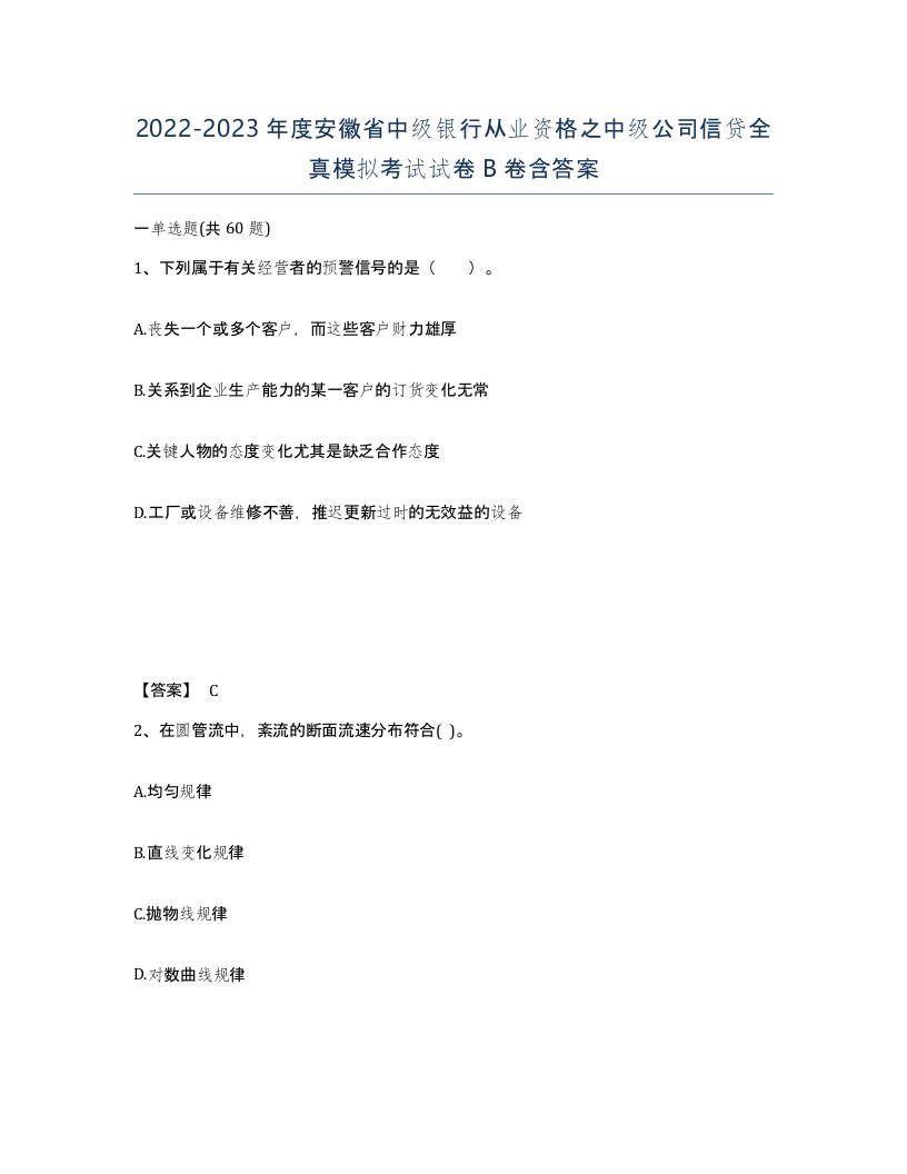 2022-2023年度安徽省中级银行从业资格之中级公司信贷全真模拟考试试卷B卷含答案