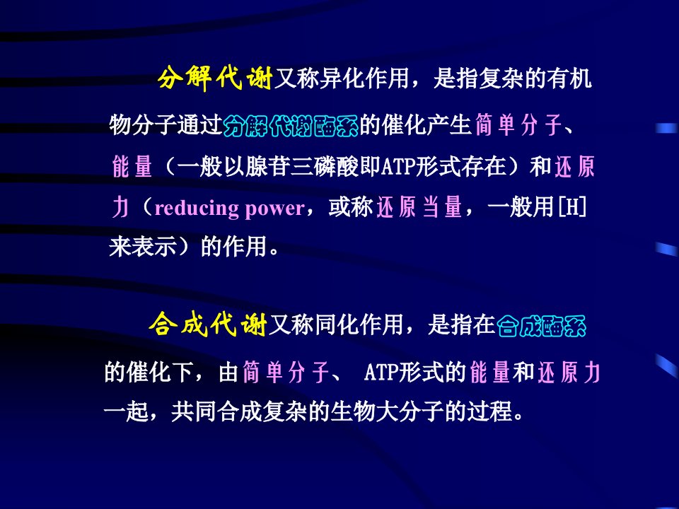 工业微生物的代谢调控和代谢产物课件