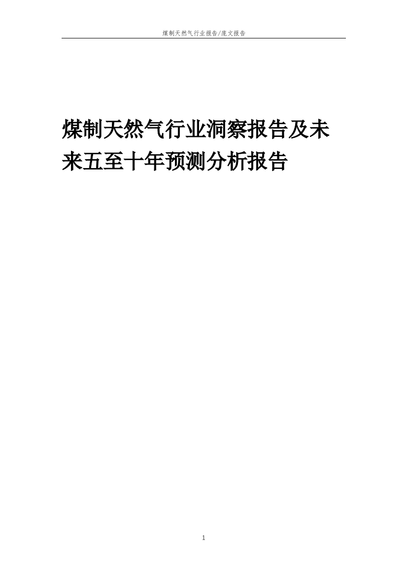 2023年煤制天然气行业洞察报告及未来五至十年预测分析报告