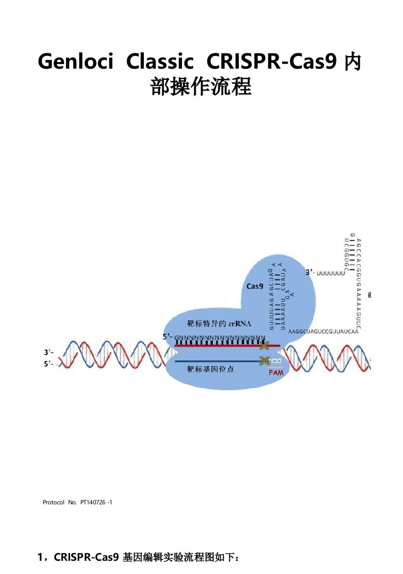 CRISPRCas9操作流程