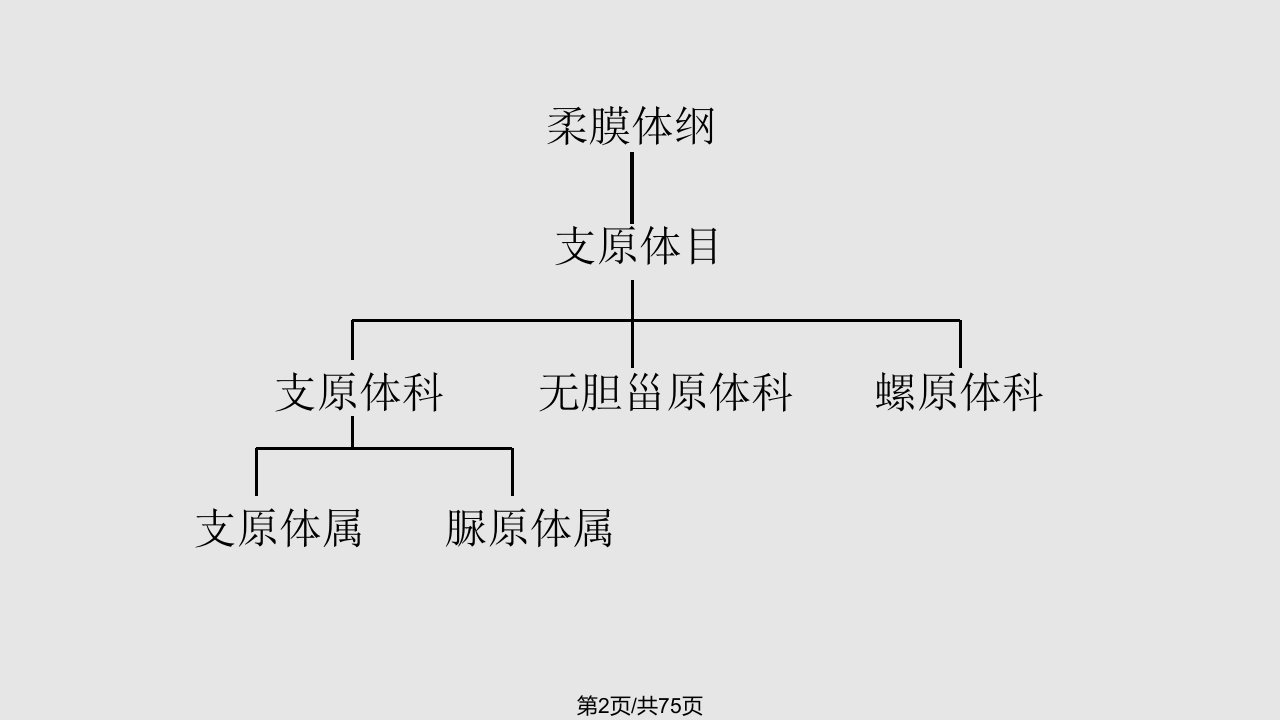 医学微生物学支原体立克次体