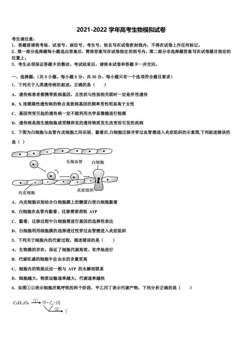 广东省普宁市新世界中英文学校2021-2022学年高三第二次联考生物试卷含解析