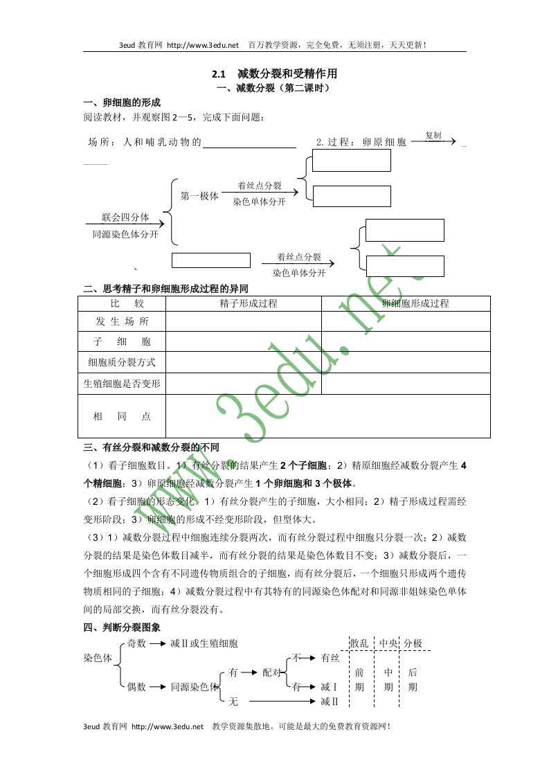 高一生物减数分裂和受精作用复习4