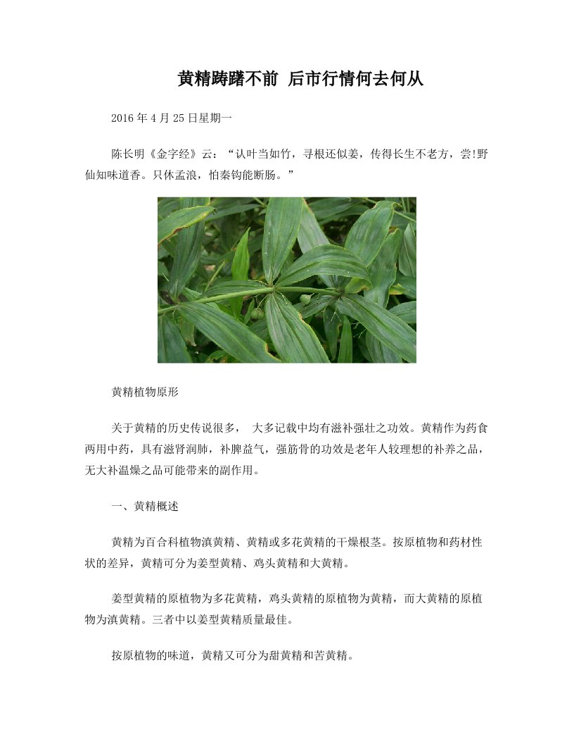 黄精踌躇不前+后市行情何去何从