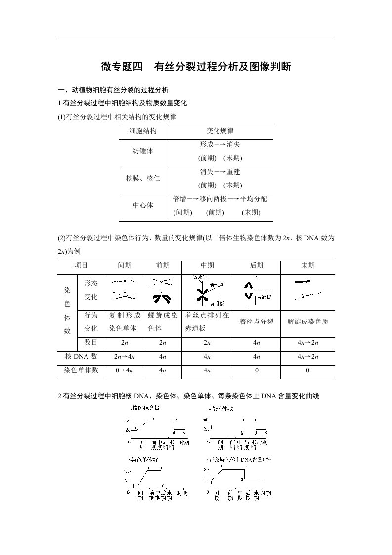 19-20版-第6章微专题四有丝分裂过程分析及图像判断（步步高）