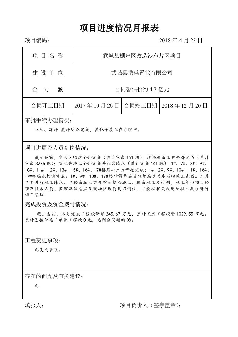 项目进度情况月报表