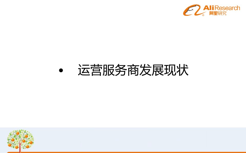 中国网络零售运营服务市场研究