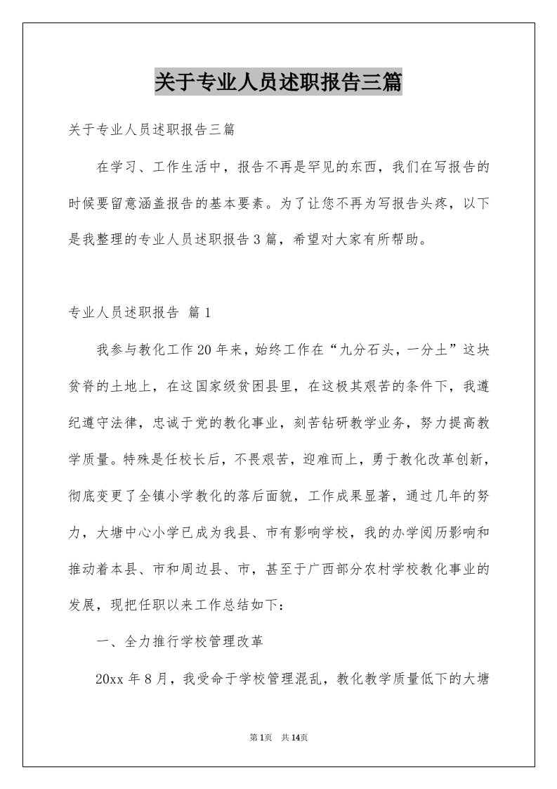 关于专业人员述职报告三篇