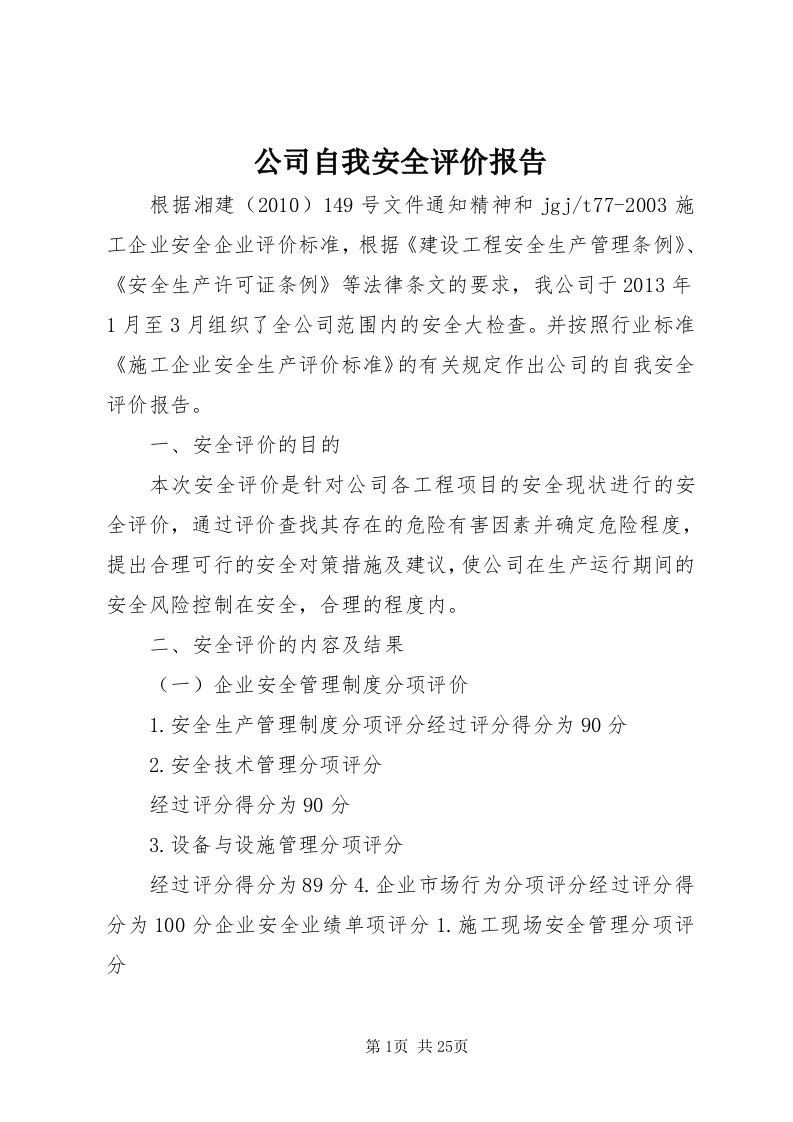 公司自我安全评价报告