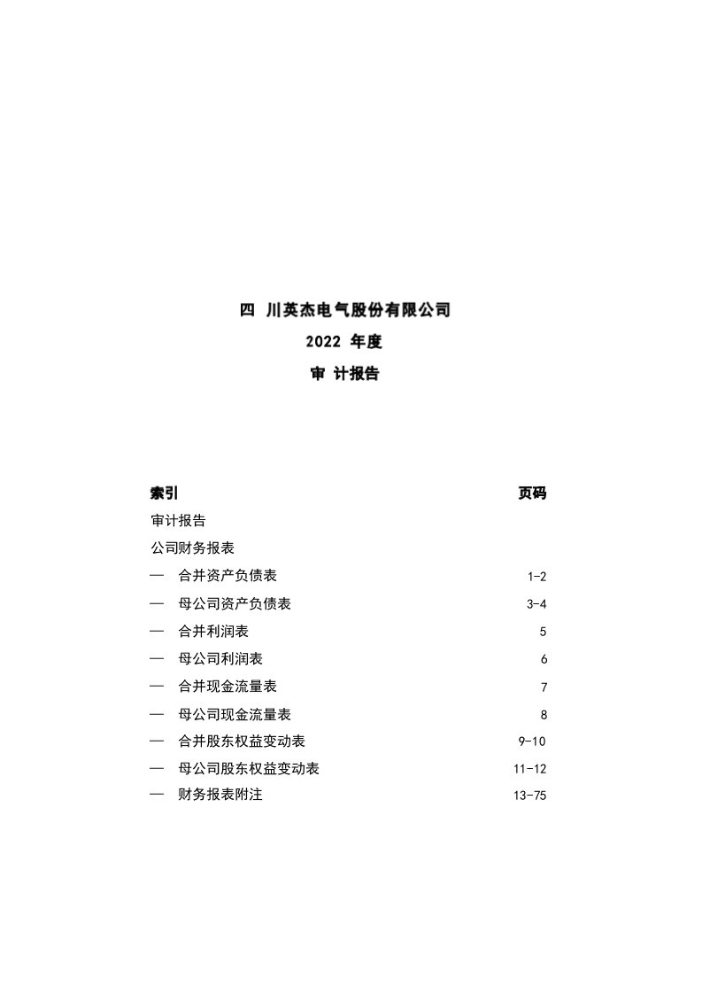 英杰电气：2022年年度审计报告