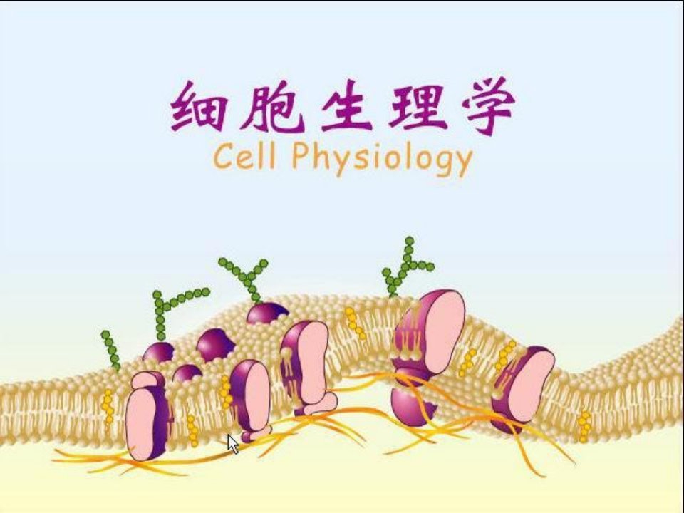 第三章细胞生理学旧