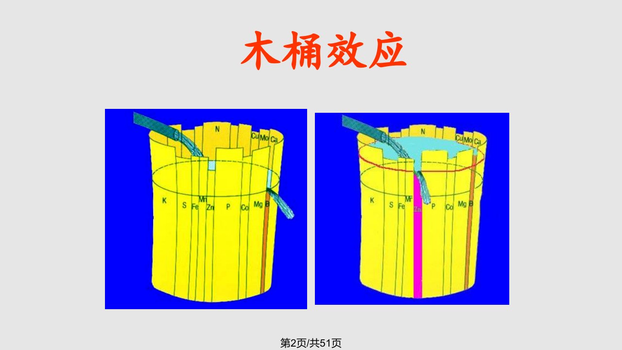 第一章第三节演示文稿