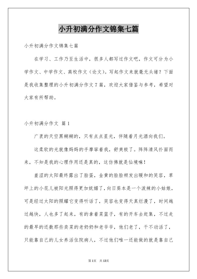 小升初满分作文锦集七篇例文