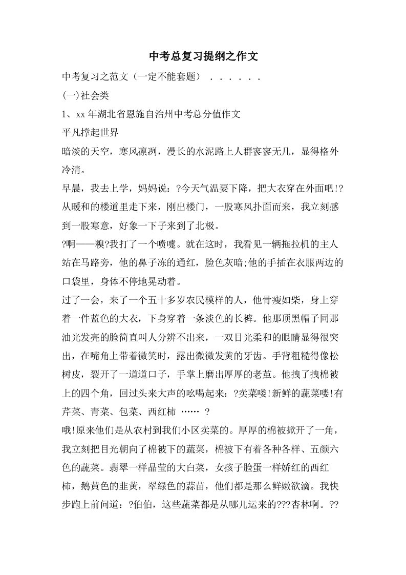 中考总复习提纲之作文