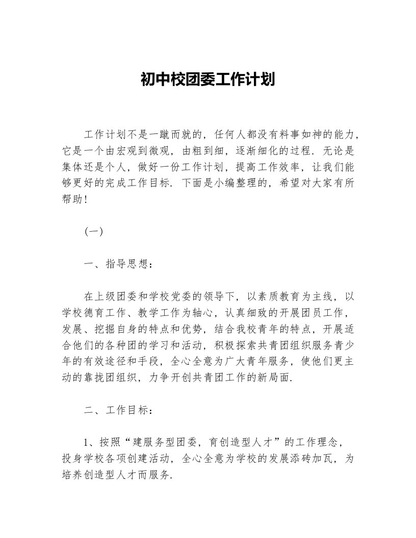 初中校团委工作计划