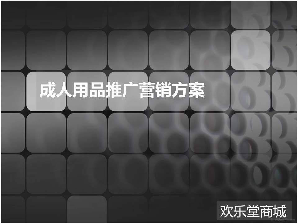 欢乐堂年终报告(成人用品的营销推广方案)-课件·PPT