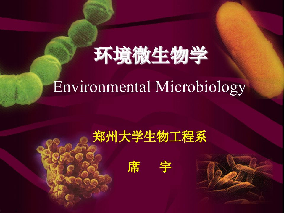 环境微生物学