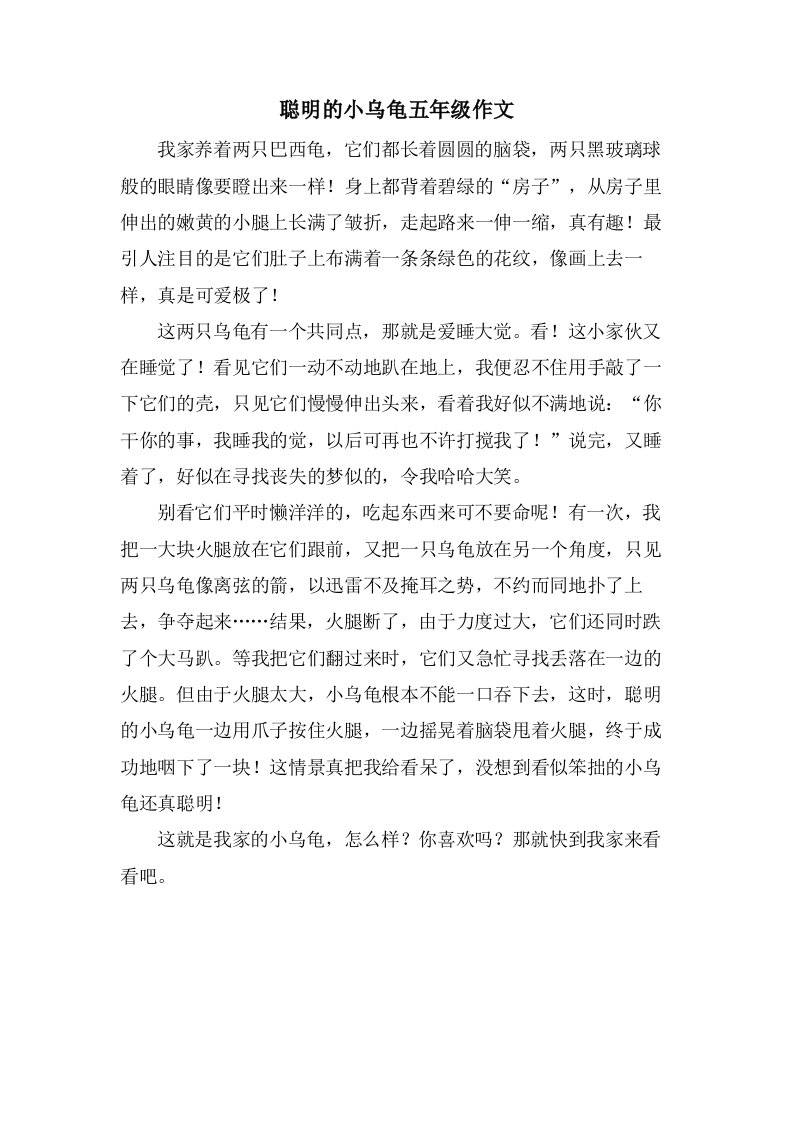 聪明的小乌龟五年级作文