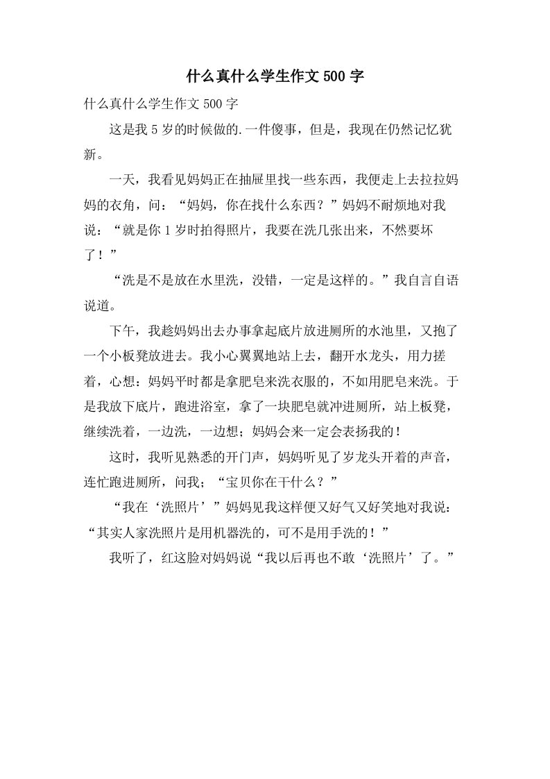 什么真什么学生作文500字