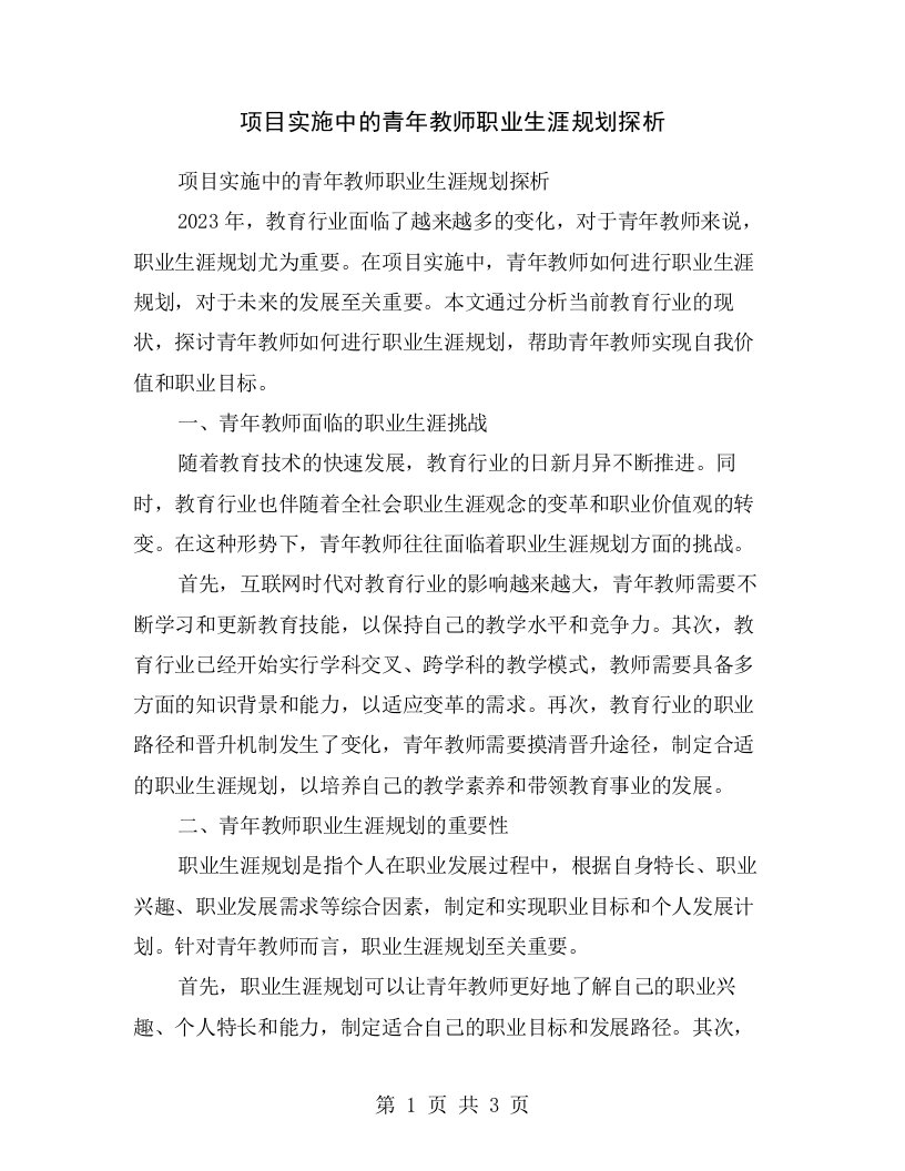 项目实施中的青年教师职业生涯规划探析