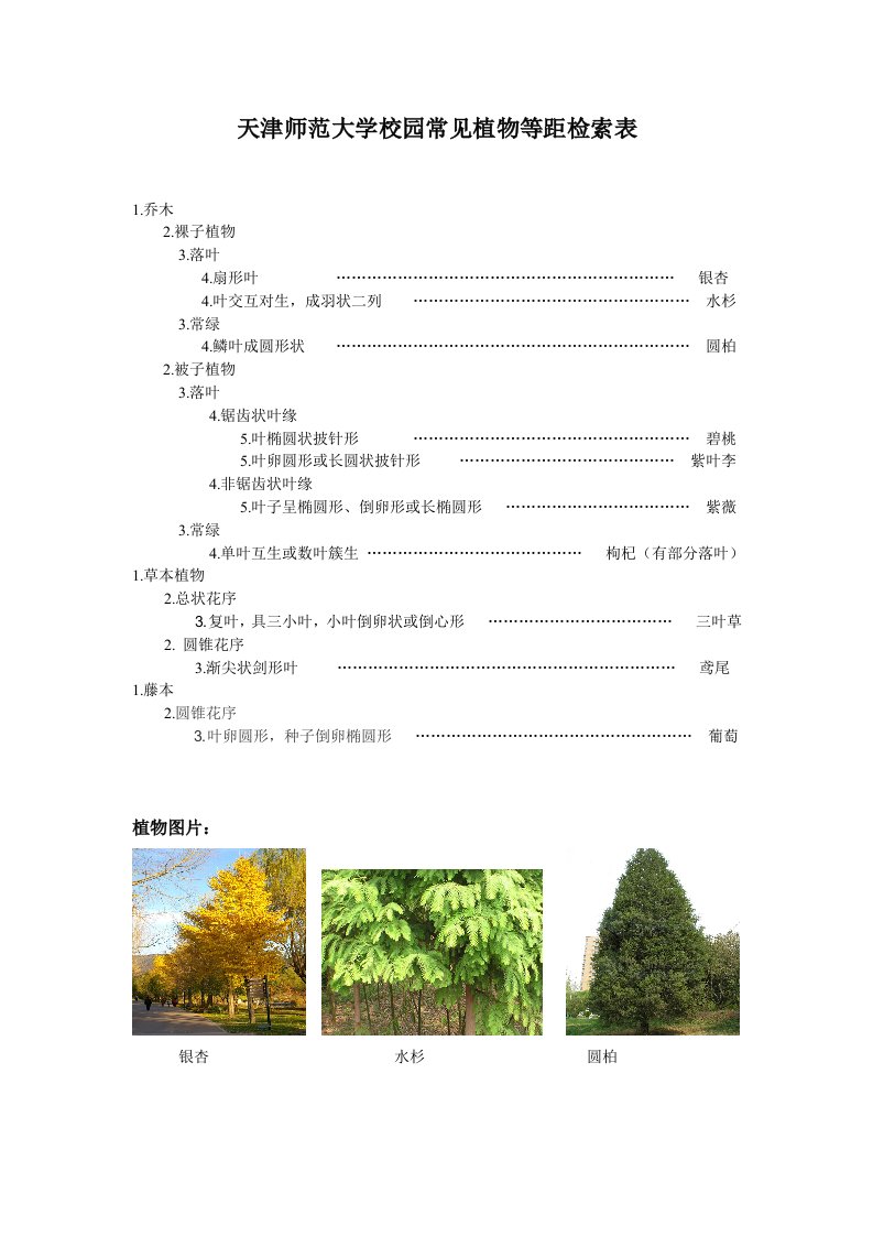 天师大校园10种常见植物等距检索表