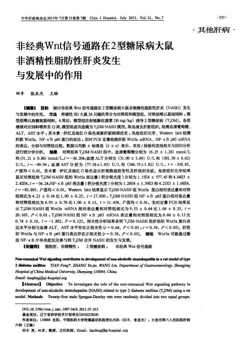 非经典Wnt信号通路在2型糖尿病大鼠非酒精性脂肪性肝炎发生与发展中的作用