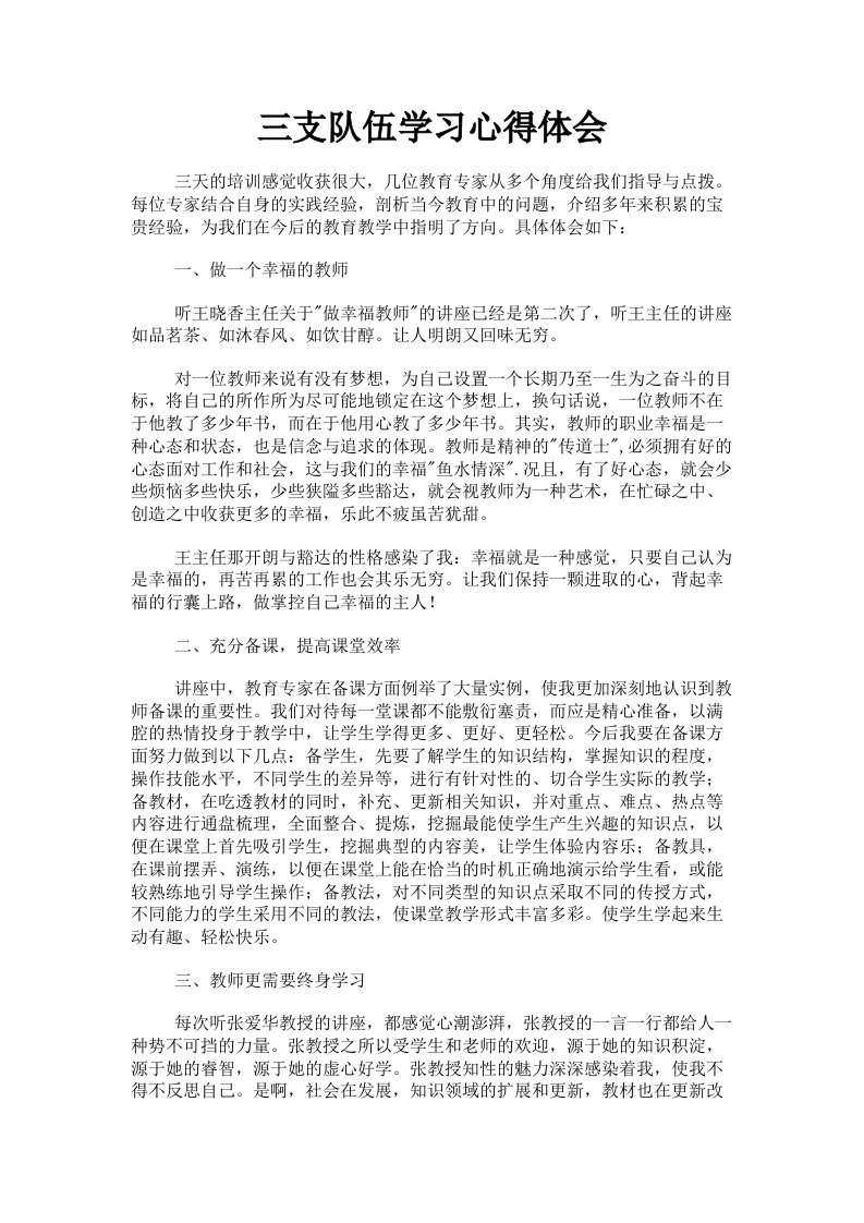 三支队伍学习心得体会