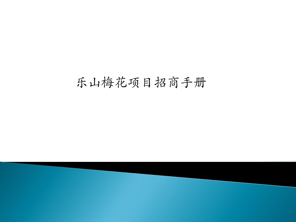 四川乐山梅花城购物中心项目招商手册