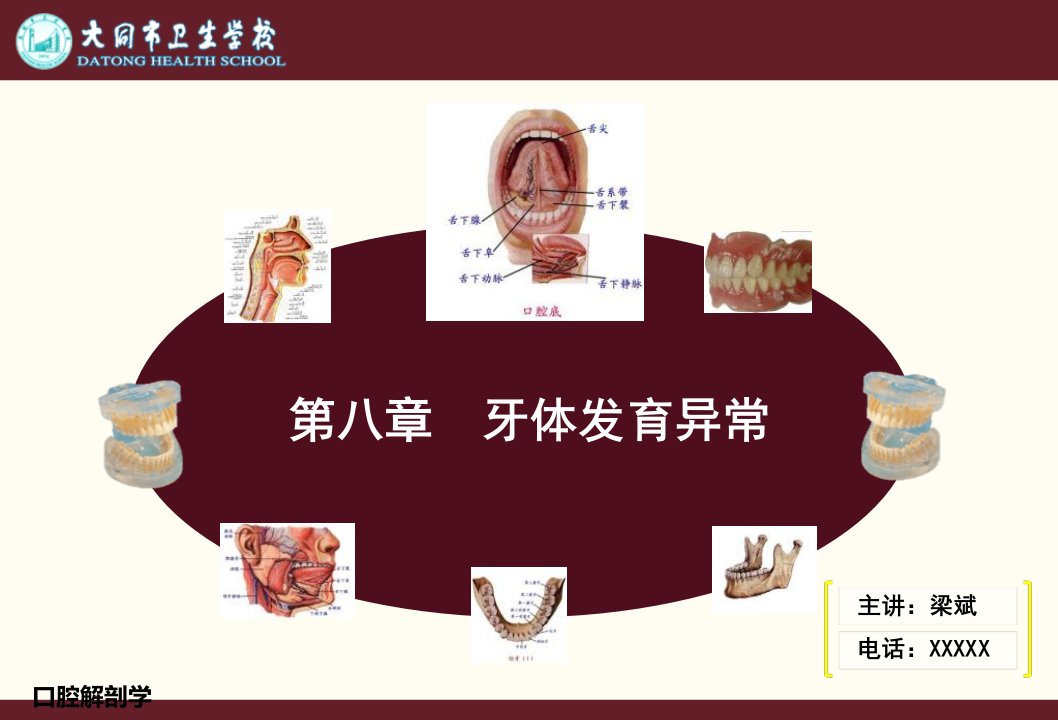 第八章牙体发育异常