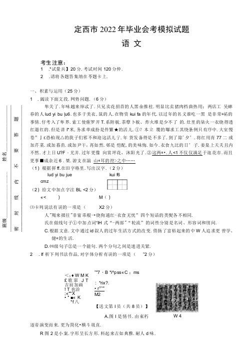 2022年甘肃省定西市毕业会考模拟试题语文试题