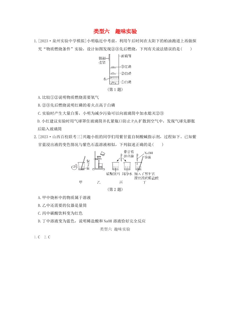 山西省2024九年级化学下册类型六趣味实验新版新人教版