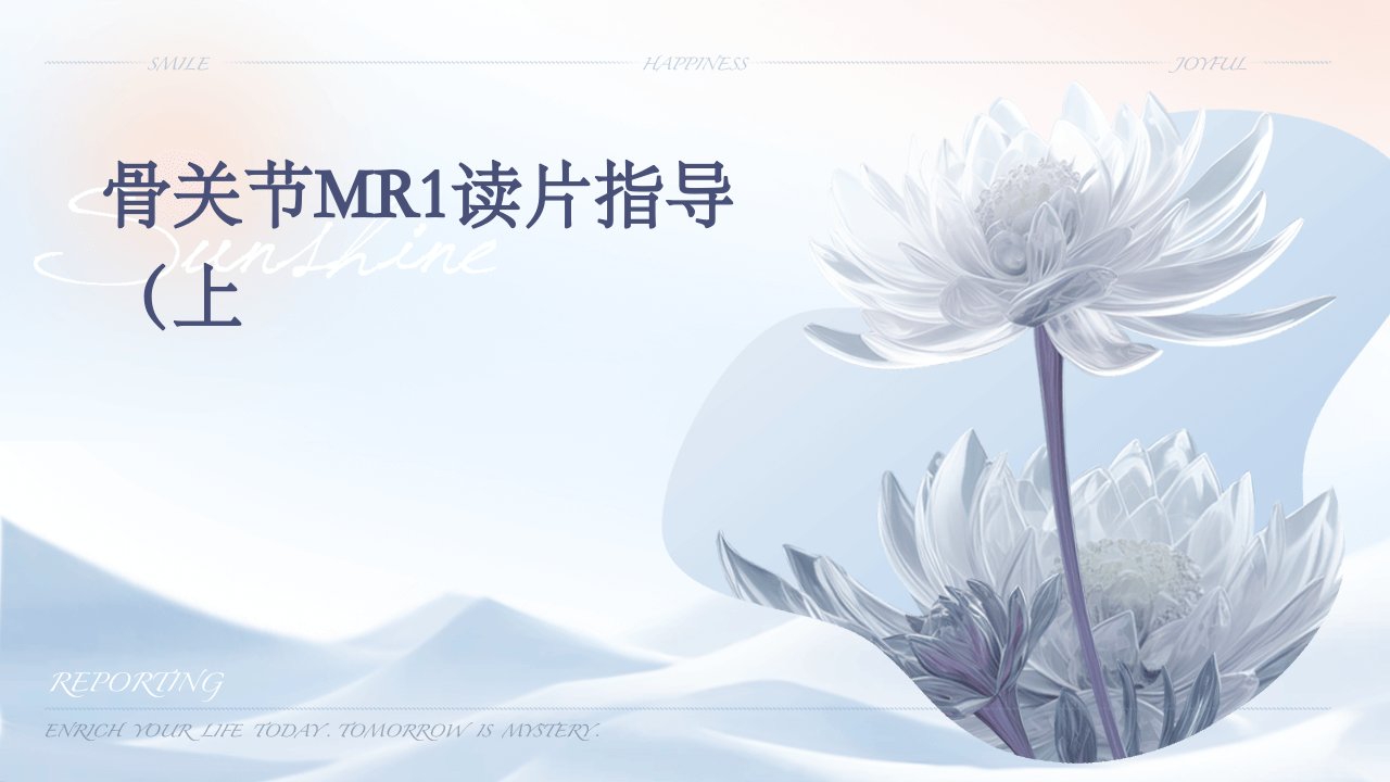 骨关节MR1读片指导(上)