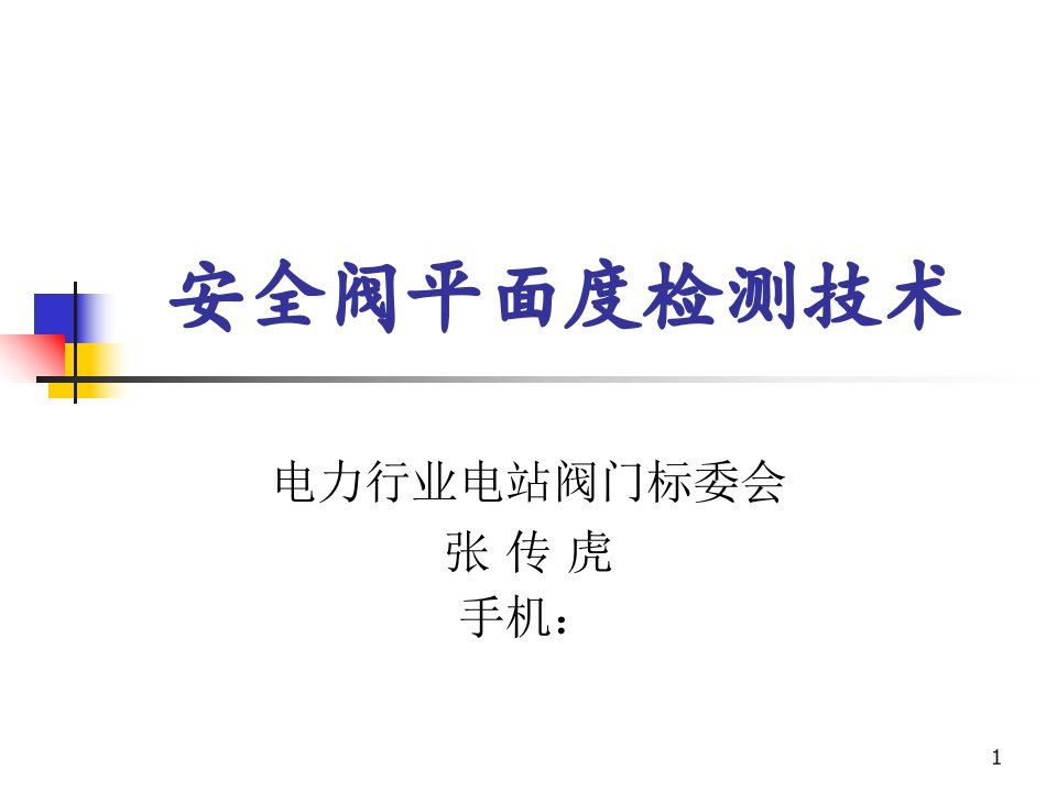 电站安全阀平面度检测技术