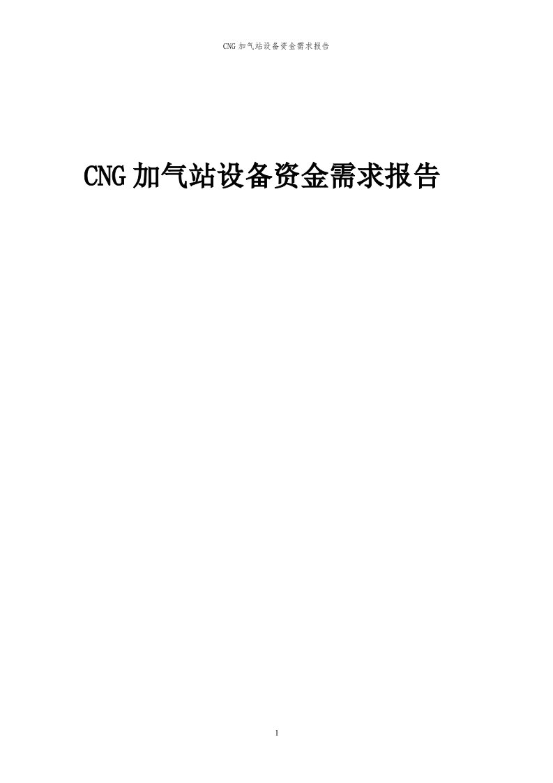 G加气站设备项目资金需求报告代可行性研究报告