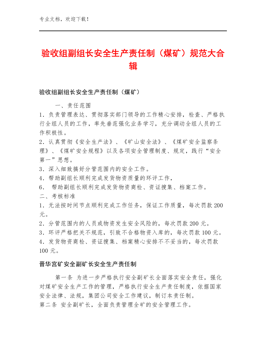 验收组副组长安全生产责任制（煤矿）规范大合辑