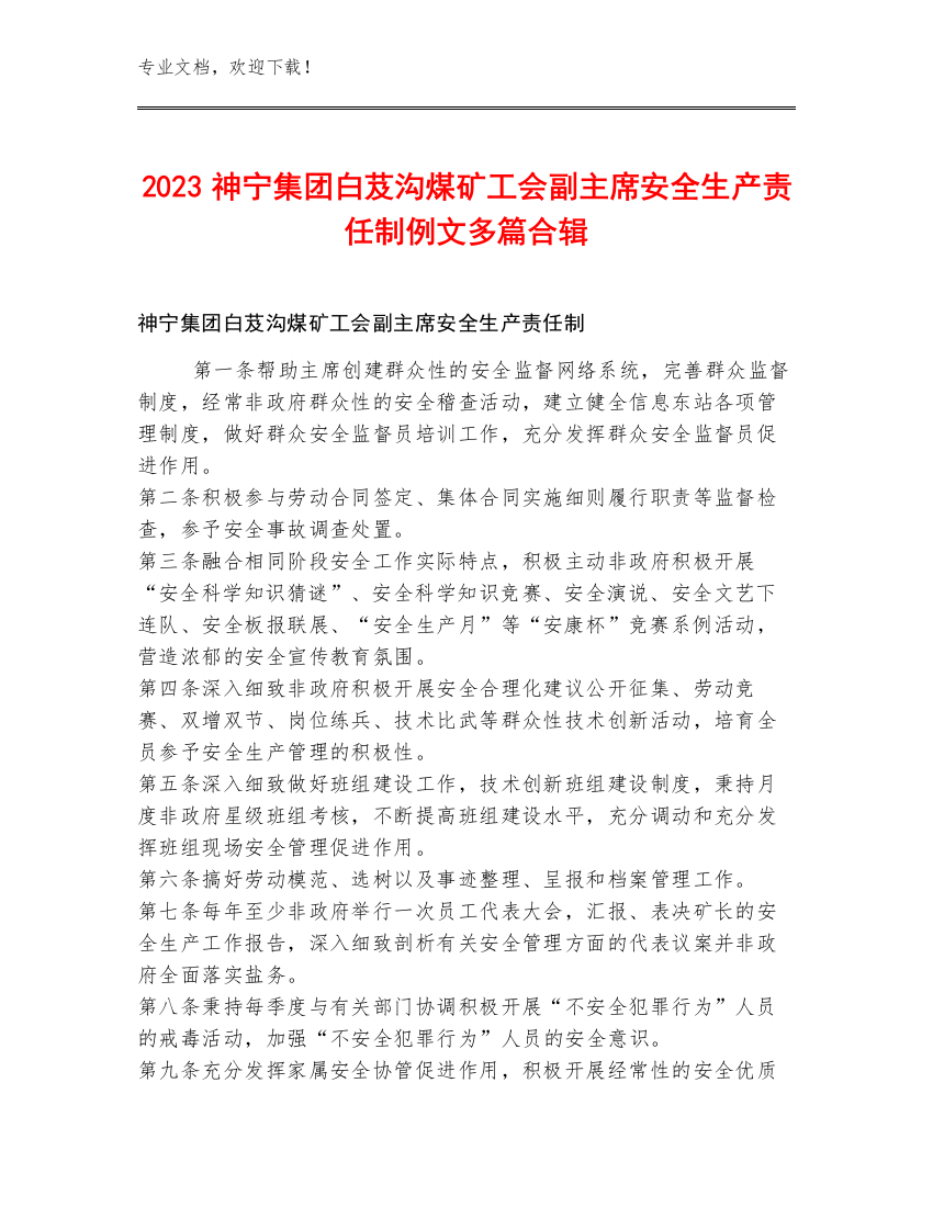 2023神宁集团白芨沟煤矿工会副主席安全生产责任制例文多篇合辑