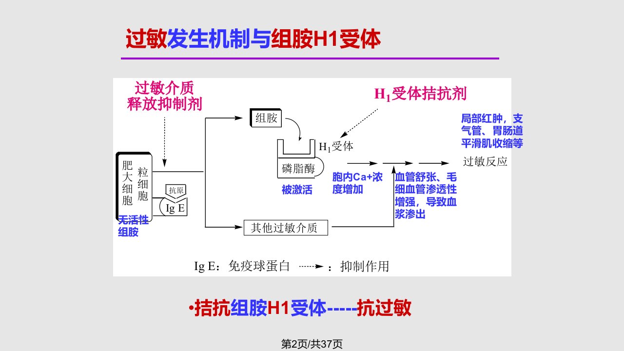 组胺受体拮抗剂及抗过敏和抗溃疡药杜