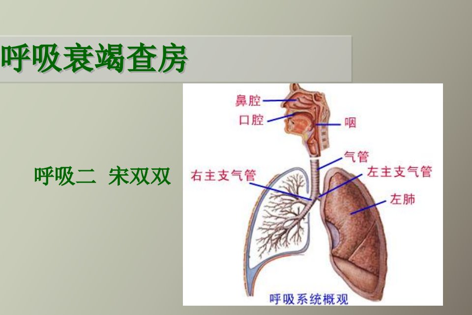 呼吸衰竭护理查房