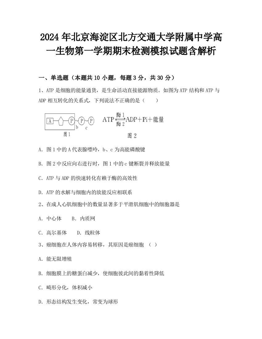 2024年北京海淀区北方交通大学附属中学高一生物第一学期期末检测模拟试题含解析