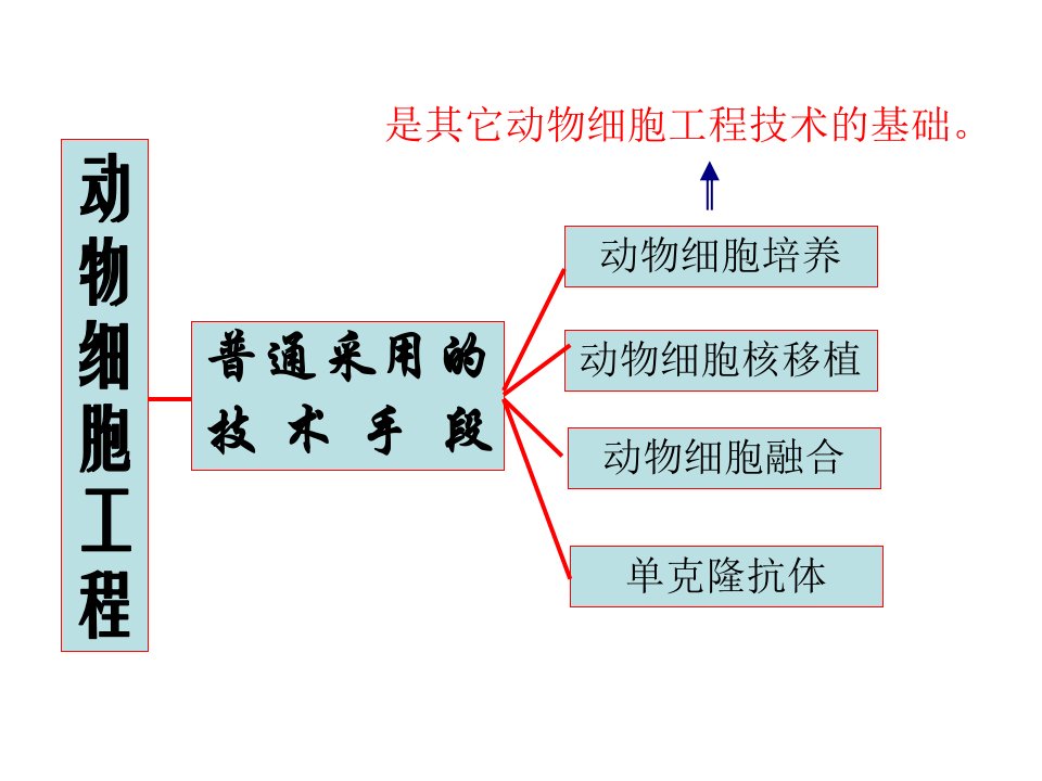 2.2.1动物细胞工程教学课公开课一等奖课件省赛课获奖课件