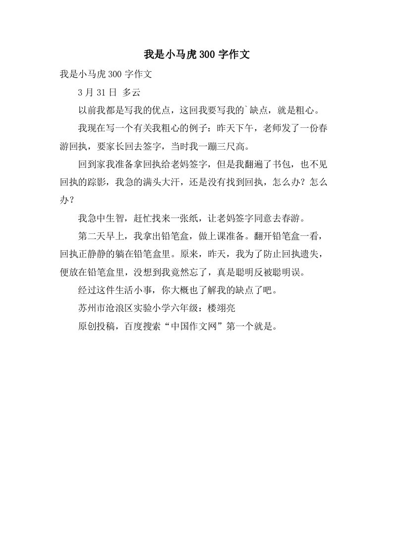 我是小马虎300字作文