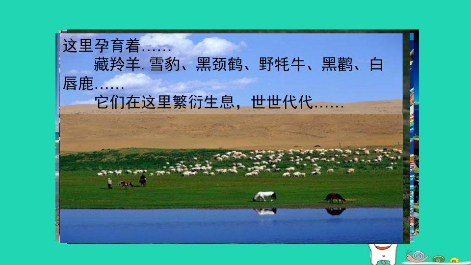 2024八年级地理下册第九章青藏地区第二节高原湿地__三江源地区课件新版新人教版