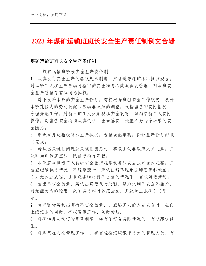 2023年煤矿运输班班长安全生产责任制例文合辑