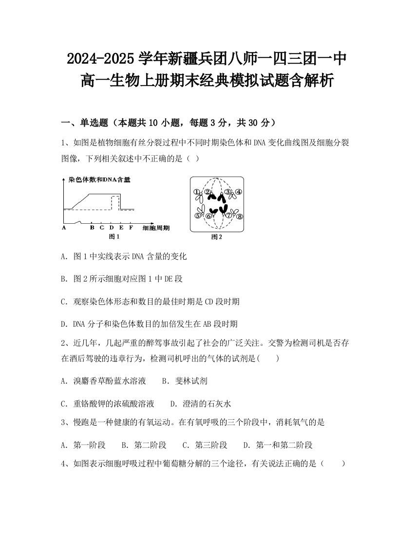 2024-2025学年新疆兵团八师一四三团一中高一生物上册期末经典模拟试题含解析