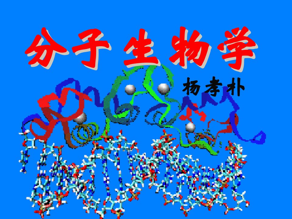 分子生物学5