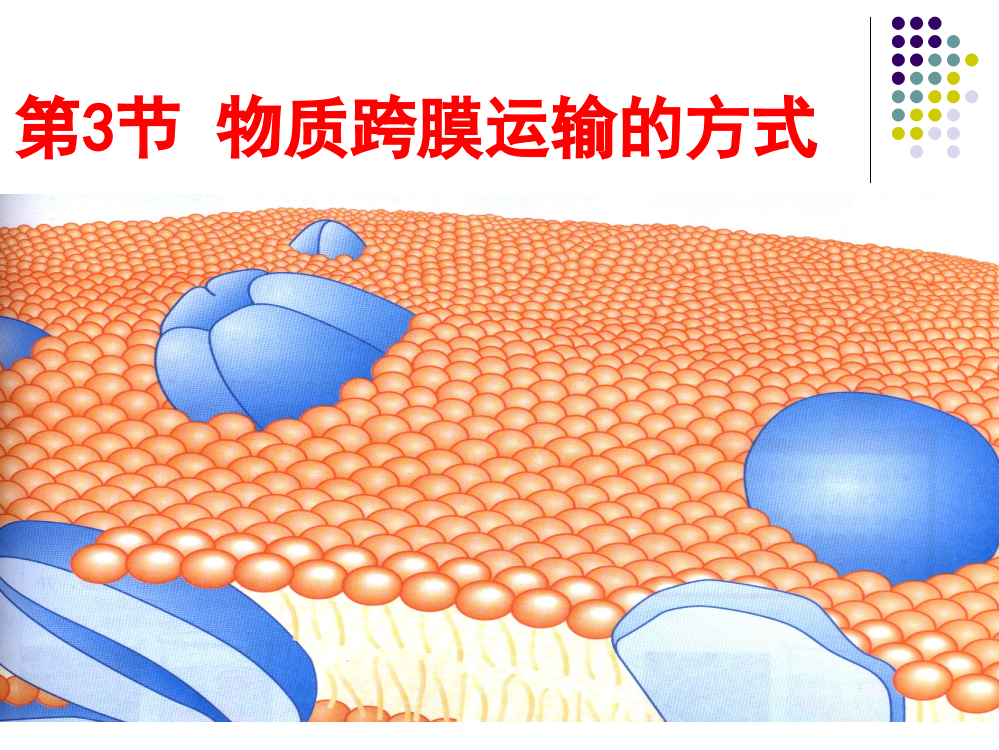 物质跨膜运输方式课件公开课